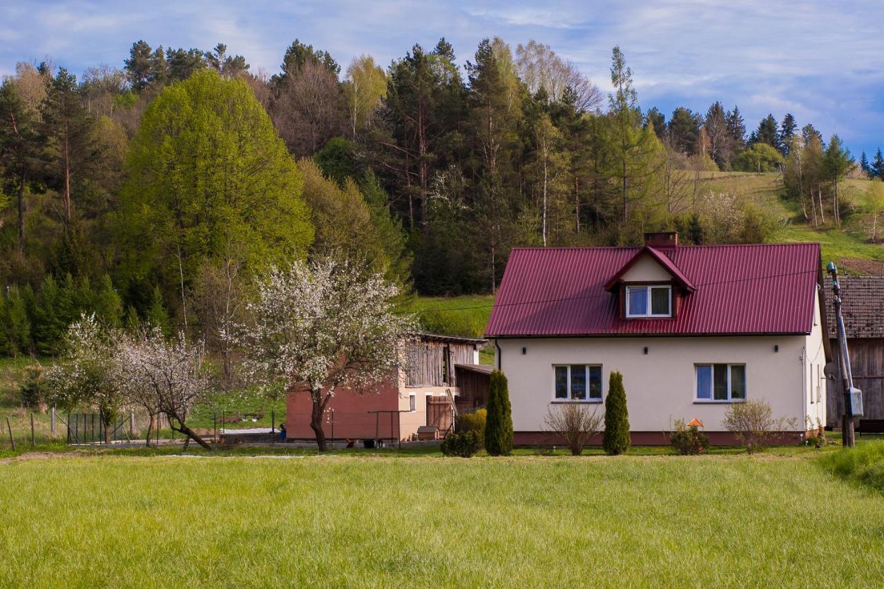U Jadzi Pogorze Przemyskie Bircza エクステリア 写真